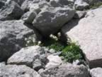 Picture 006.jpg (48kb)